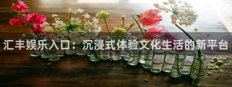 okooo澳客包怎么样：汇丰娱乐入口：沉浸式体验文化生活的新平台