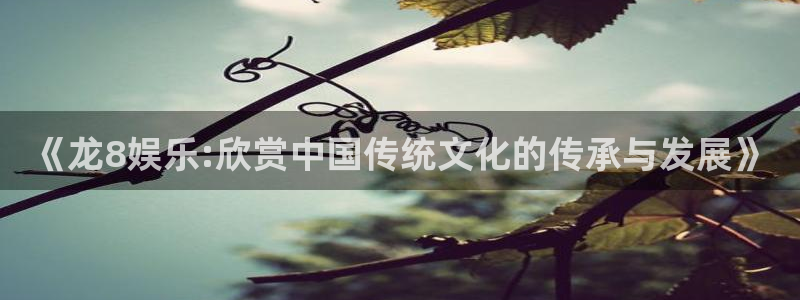 okooo澳客5：《龙8娱乐:欣赏中国传统文化的传承与发展》