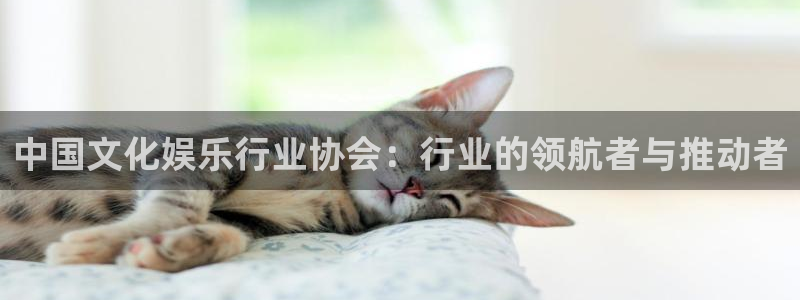 okooo澳客体育游戏：中国文化娱乐行业协会：行业的领航者与推动者