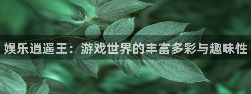 okooo澳客体育2官网入口：娱乐逍遥王：游戏世界的丰富多彩与趣味性
