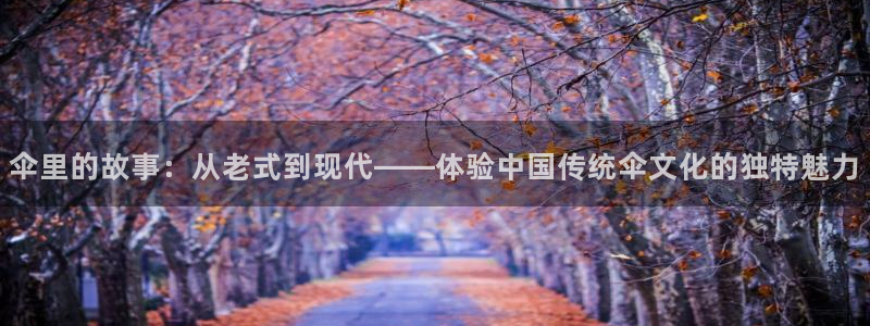 okooo澳客体育3：伞里的故事：从老式到现代——体验中国传统伞文化的独特魅力