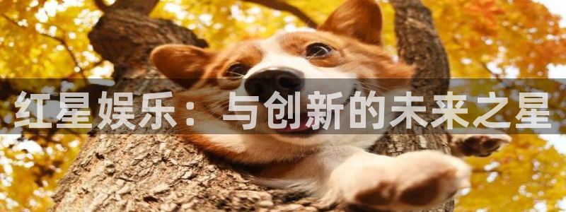 okooo澳客体育老板是谁：红星娱乐：与创新的未来之星