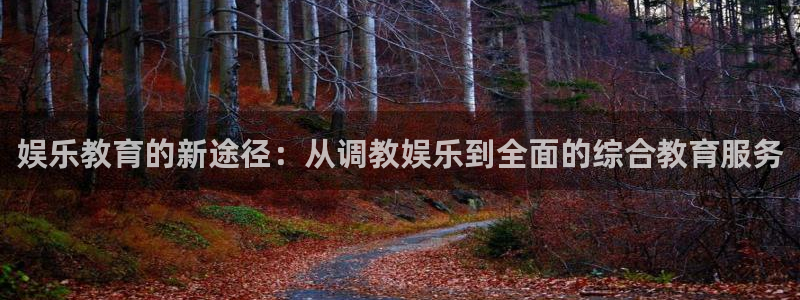 okooo澳客登陆：娱乐教育的新途径：从调教娱乐到全面的综合教育服务