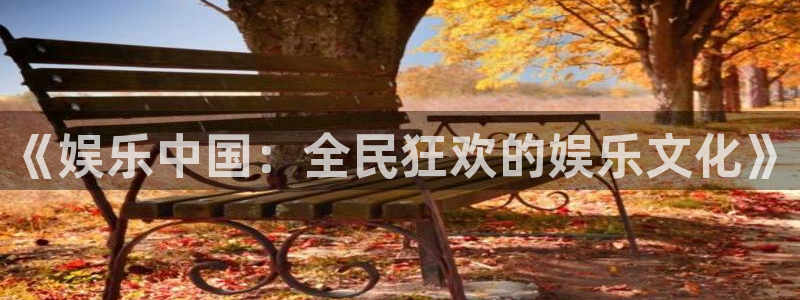 okooo澳客体育代理申请流程：《娱乐中国：全民狂欢的娱乐文化》