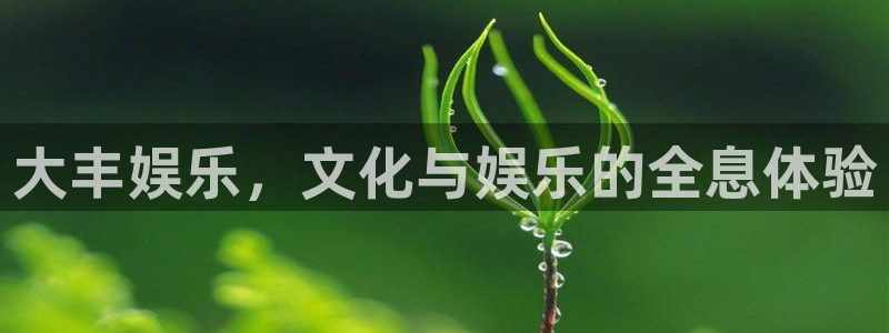 okooo澳客体育：大丰娱乐，文化与娱乐的全息体验