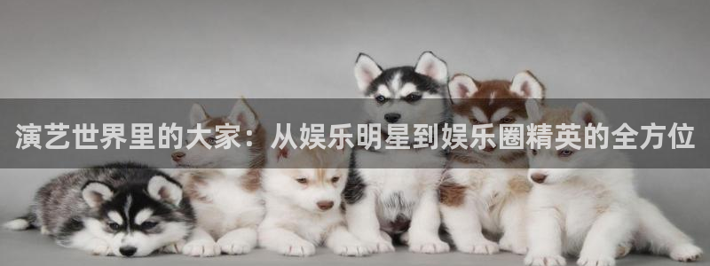 okooo澳客2登录地址：演艺世界里的大家：从娱乐明星到娱乐圈精英的全方位