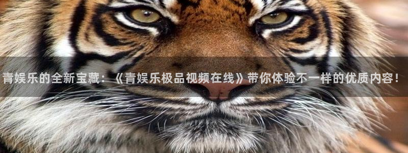 okooo澳客体育官网：青娱乐的全新宝藏：《青娱乐极品视频在线》带你体验不一样的优质内容！