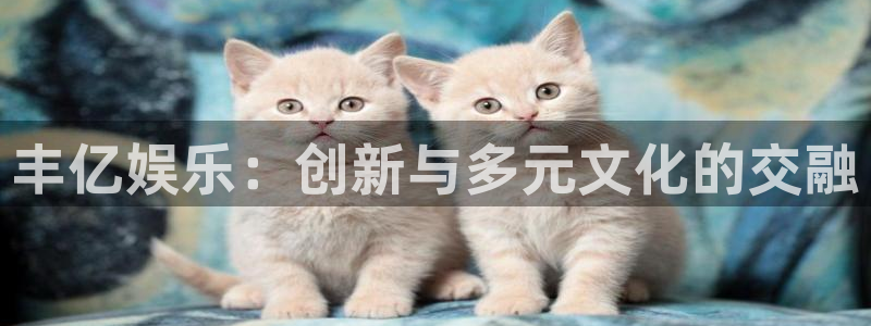 okooo澳客登陆：丰亿娱乐：创新与多元文化的交融