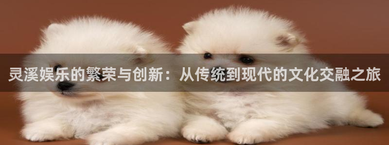 okooo澳客官网入口：灵溪娱乐的繁荣与创新：从传统到现代的文化交融之旅