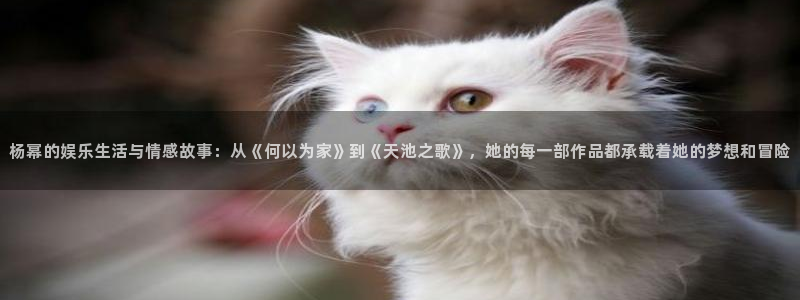 okooo澳客k