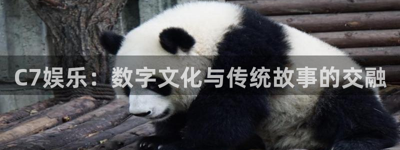 okooo澳客2代理注册：C7娱乐：数字文化与传统故事的交融