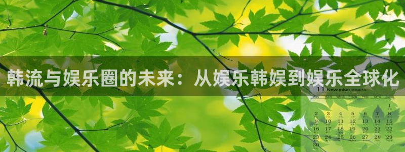 okooo澳客2平台注册：韩流与娱乐圈的未来：从娱乐韩娱到娱乐全球化