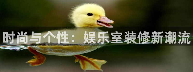 okooo澳客4：时尚与个性：娱乐室装修新潮流