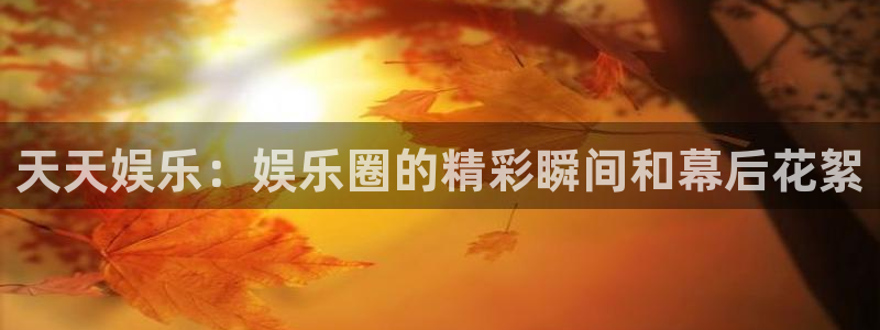 okooo澳客股份：天天娱乐：娱乐圈的精彩瞬间和幕后花絮